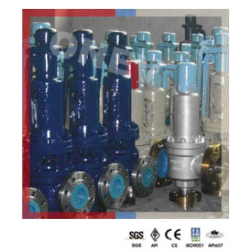 390deg High Temperature Wcb Safety Valve